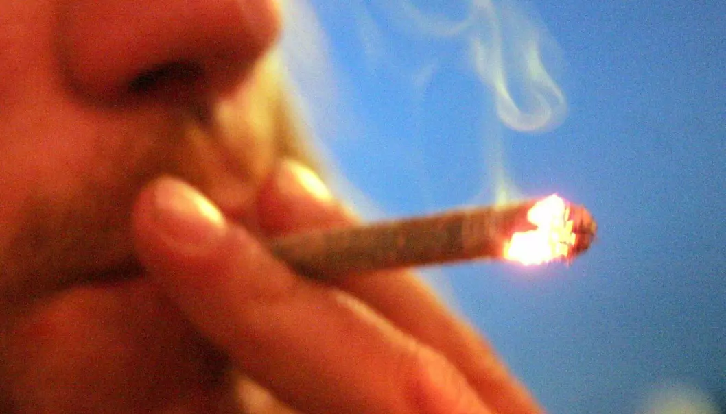 25 ressursterke cannabisbrukere er med i en ny, norsk studie.  (Foto: Colourbox)