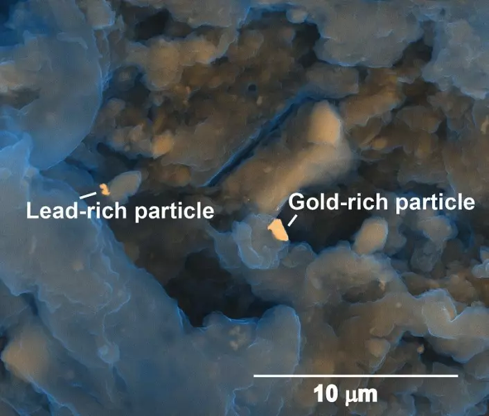 Dette er et mikroskopbilde av kloakkslam etter rensing. Akkurat i denne prøven fant forskerne bly- og gullpartikler. (Foto: Heather Lowers, USGS Denver microbeam laboratory)