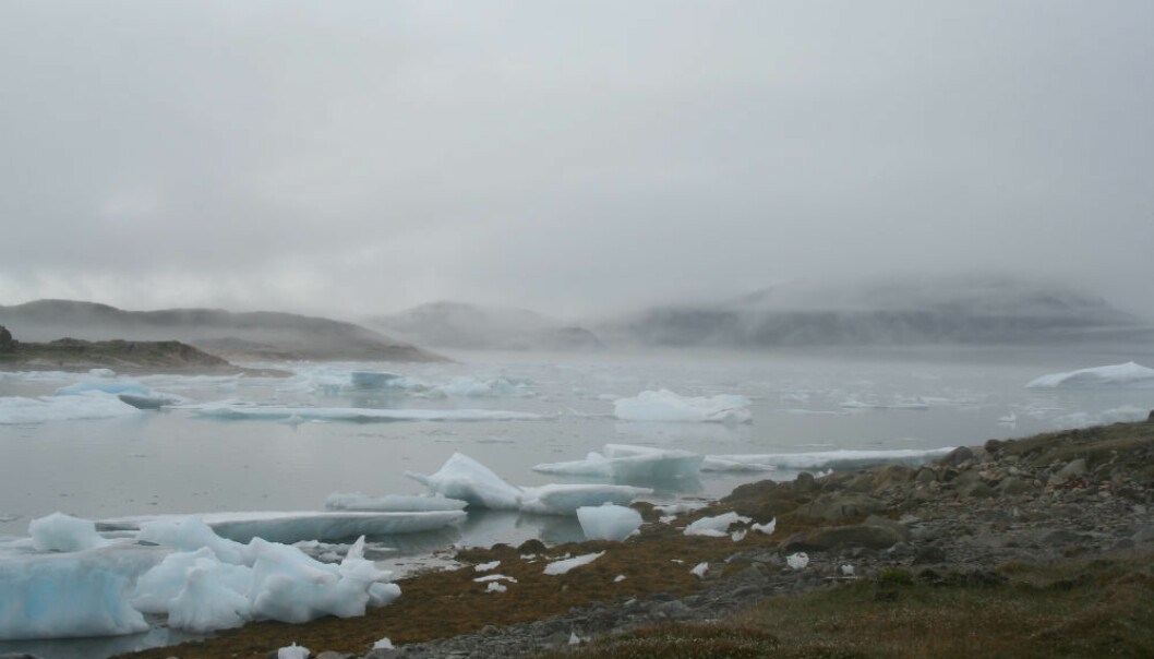 Avliver myte om hvorfor norrøne folk forlot Grønland