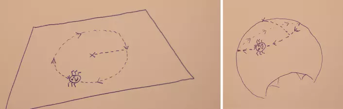 Til venstre: Flatlenderen går i en sirkel og måler omkretsen.<br />Til høyre: Arket er krummet. Flatlenderen opplever at han går i den samme sirkelen, men omkretsen har blitt mindre. (Foto: Arnfinn Christensen, forskning.no)