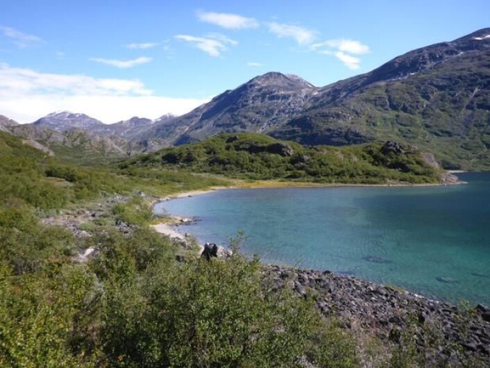 Selv om områder med krattskog var uegnet til landbruk, bygget folk hus der og samlet fôr. (Foto: C.K. Madsen 2014) Selv om områder med krattskog var uegnet til landbruk, bygget folk hus der og samlet fôr. (Foto: C.K. Madsen 2014)