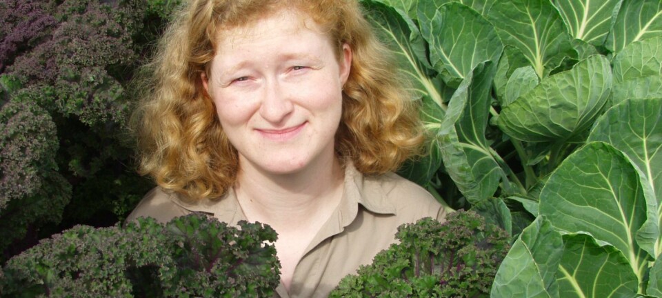 – Spis mer grønnsaker! oppfordrer forsker Anne-Berit Wold fra NMBU. Her med to håndfuller antioksidantrik grønnkål. (Foto: Håkon Sparre)