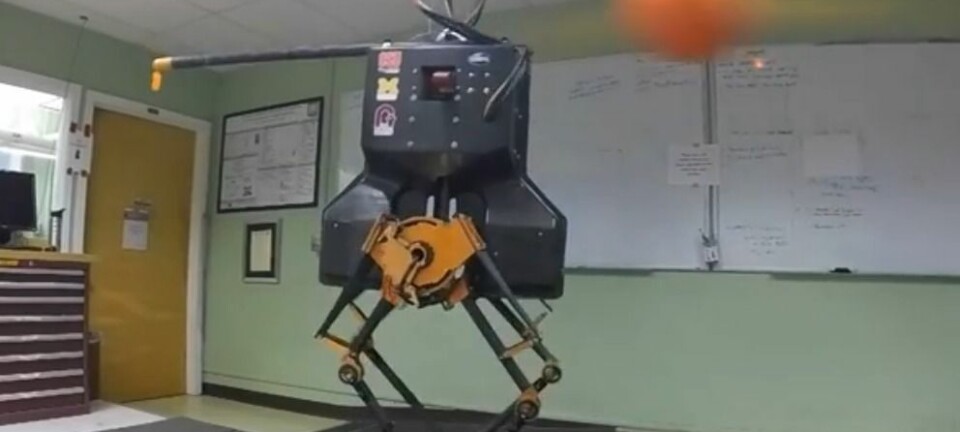 Forskerne bombarderer roboten Atrias med baller, men den danser uanfektet videre. (Foto: Oregon State University)