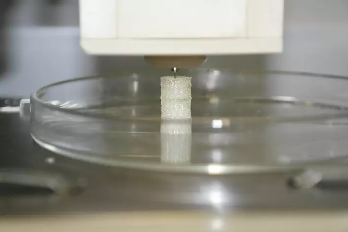 Bioprinteren lager en testsylinder med hulrom og sprekker som i ekte beinvev.  (Foto: Claude R. Olsen)