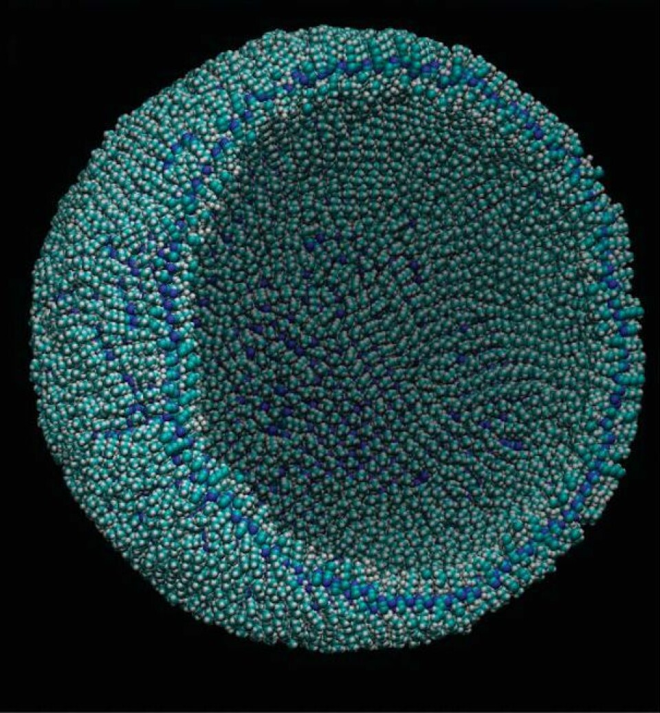 Her er datamodellen av cellen, som på grunn av en metanbasert cellemembran, ville overleve det barske klimaet på Titan.  (Foto: James Stevenson)