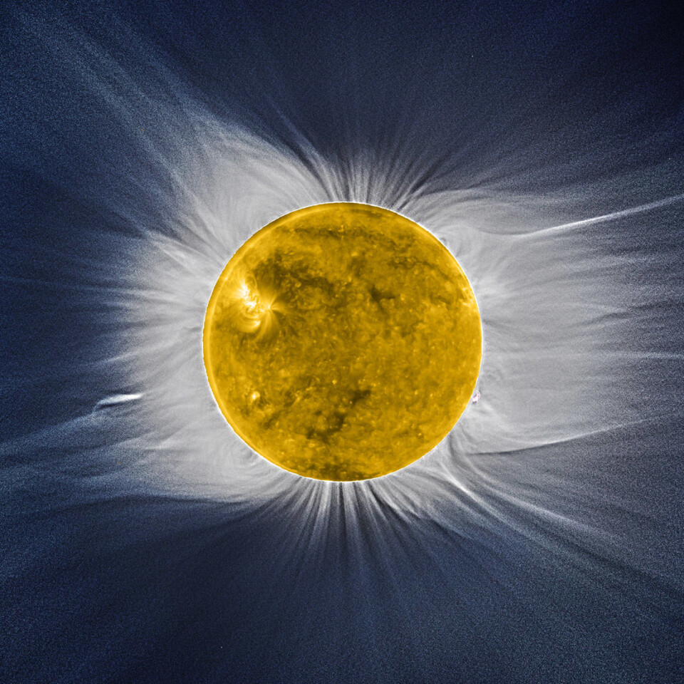 Bilde av solas korona tatt under en solformørkelse satt sammen med et bilde av solas overflate, sett av ESAs satellitt Proba-2. (Foto: ESA/Proba-2 consortium/SWAP team/Institut d’Astrophysique de Paris (CNRS & UPMC), S. Koutchmy/J. Mouette)