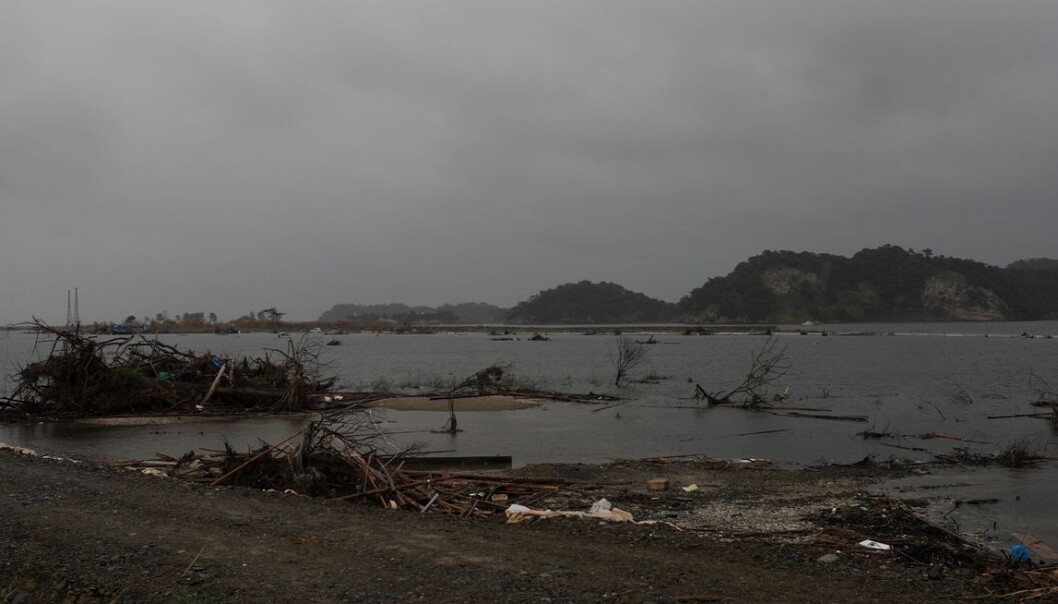 11. juni 2011 kom jordskjelvet og tsunamien som ødela Fukushima-kraftverket på østkysten av Japan. (Foto: Wikimedia Commons) 11. juni 2011 kom jordskjelvet og tsunamien som ødela Fukushima-kraftverket på østkysten av Japan. (Foto: Wikimedia Commons)