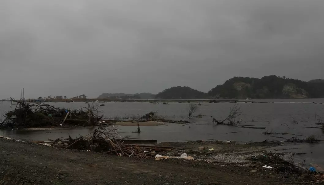 Japan og Norge samarbeider om bedre tsunamisikring