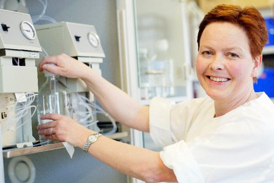 Spørsmålene som stilles i dag er komplekse og krever kompetanse fra mange felt for å kunne besvares. Universitetet i Oslo satser tungt på livsvitenskap og skal bygge et stort livsvitenskapsbygg i Gaustadbekkdalen, nær Rikshospitalet. OUS er med på denne satsingen, som bygger på at flere fag og fagdisipliner må samles om å løse de biologiske gåtene (Illustrasjonsfoto: Oslo universitetssykehus).