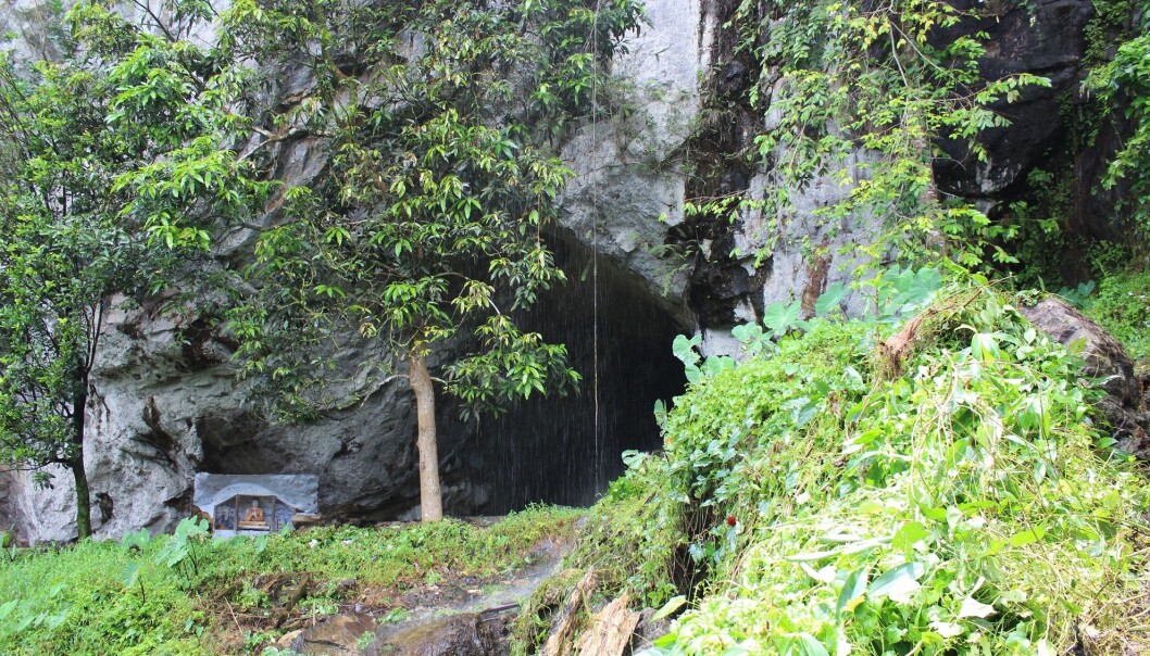 En hule i Batadomba-lena på Sri Lanka, hvor noen av de eldste fossile tennene ble funnet. (Foto: Patrick Roberts) En hule i Batadomba-lena på Sri Lanka, hvor noen av de eldste fossile tennene ble funnet. (Foto: Patrick Roberts)