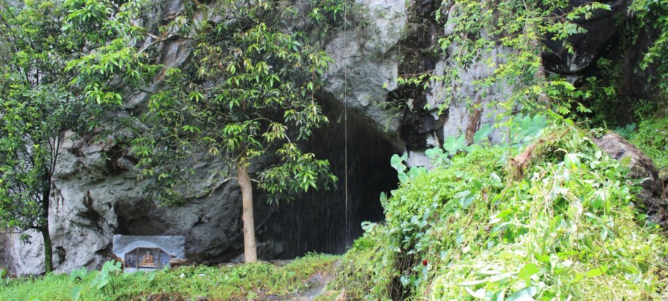 En hule i Batadomba-lena på Sri Lanka, hvor noen av de eldste fossile tennene ble funnet. (Foto: Patrick Roberts)