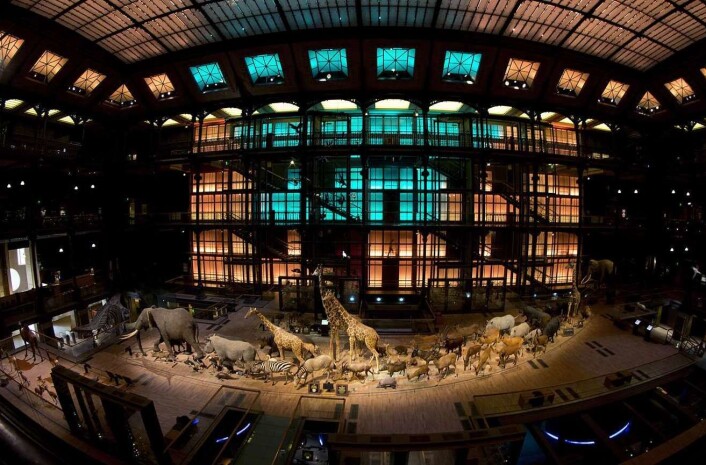 På vei om bord i arken. Her fra 20-årsjubileet til evolusjonsgalleriet i 2014. (Foto: Afp, NTB scanpix) På vei om bord i arken. Her fra 20-årsjubileet til evolusjonsgalleriet i 2014. (Foto: Afp, NTB scanpix)