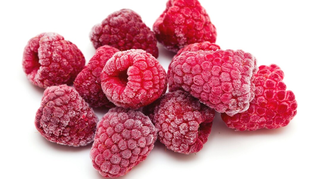 Bringebærforbruket har økt så mye at de norske produsentene får forskerhjelp til å utvide sesongen for å holde tritt. (Foto: Shutterstock) Bringebærforbruket har økt så mye at de norske produsentene får forskerhjelp til å utvide sesongen for å holde tritt. (Foto: Shutterstock)