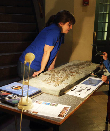 Fossildag på museet med mange kunnskapsrike unger. Foto: Bjørn Funke Fossildag på museet med mange kunnskapsrike unger. Foto: Bjørn Funke