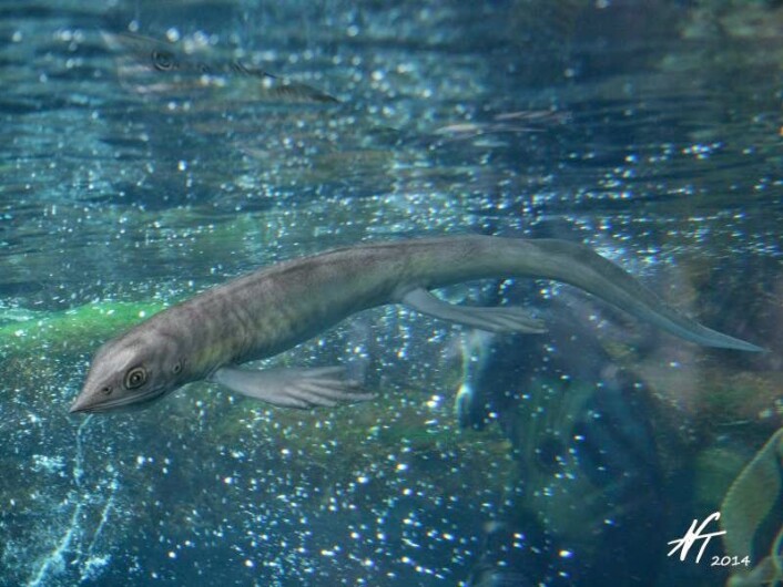 Slik kan Cartorhynchus lenticarpus ha sett ut. Prøv et google-søk for andre tolkninger, det er ganske gøy! (Foto: Tegning: Nobu Tomura) Slik kan Cartorhynchus lenticarpus ha sett ut. Prøv et google-søk for andre tolkninger, det er ganske gøy! (Foto: Tegning: Nobu Tomura)