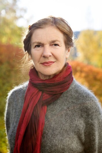 Professor Bente G. Berg ved Psykologisk institutt, NTNU. (Foto: Therese Lee Støver/NTNU) Professor Bente G. Berg ved Psykologisk institutt, NTNU. (Foto: Therese Lee Støver/NTNU)
