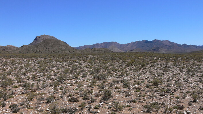 Anysberg naturreservat i halvørkenen Karoo. (Foto: Winfried Bruenke, Creative Commons, <a href="http://creativecommons.org/licenses/by-sa/2.5/deed.en">se lisens her</a>.) Anysberg naturreservat i halvørkenen Karoo. (Foto: Winfried Bruenke, Creative Commons, <a href="http://creativecommons.org/licenses/by-sa/2.5/deed.en">se lisens her</a>.)