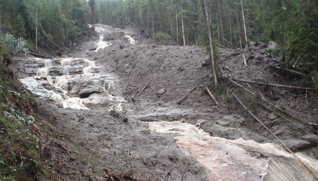 Flomskred i Hallingdal sommeren 2007. Slike hendelser er ofte knyttet til kortvarig,intens nedbør og dårlig drenerte skogsbilveier. (Foto: NGI) Flomskred i Hallingdal sommeren 2007. Slike hendelser er ofte knyttet til kortvarig,intens nedbør og dårlig drenerte skogsbilveier. (Foto: NGI)