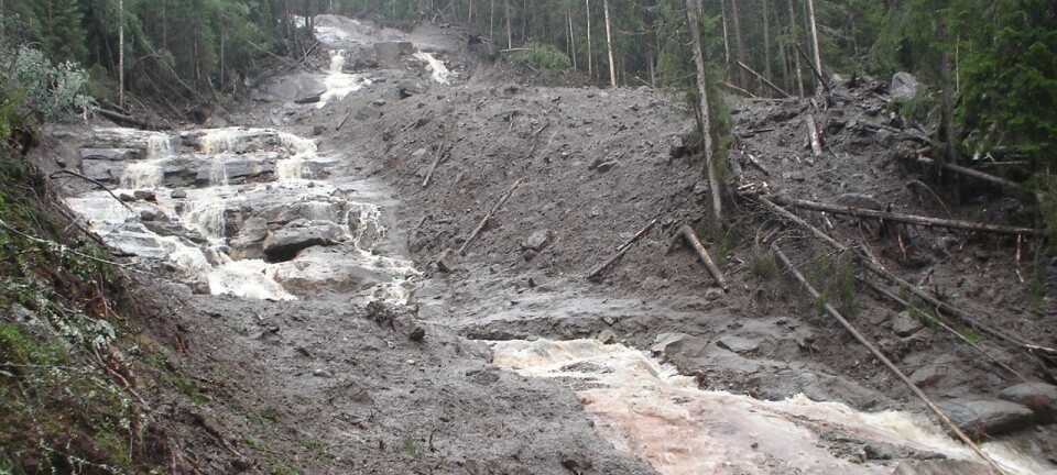 Flomskred i Hallingdal sommeren 2007. Slike hendelser er ofte knyttet til kortvarig,intens nedbør og dårlig drenerte skogsbilveier. (Foto: NGI)