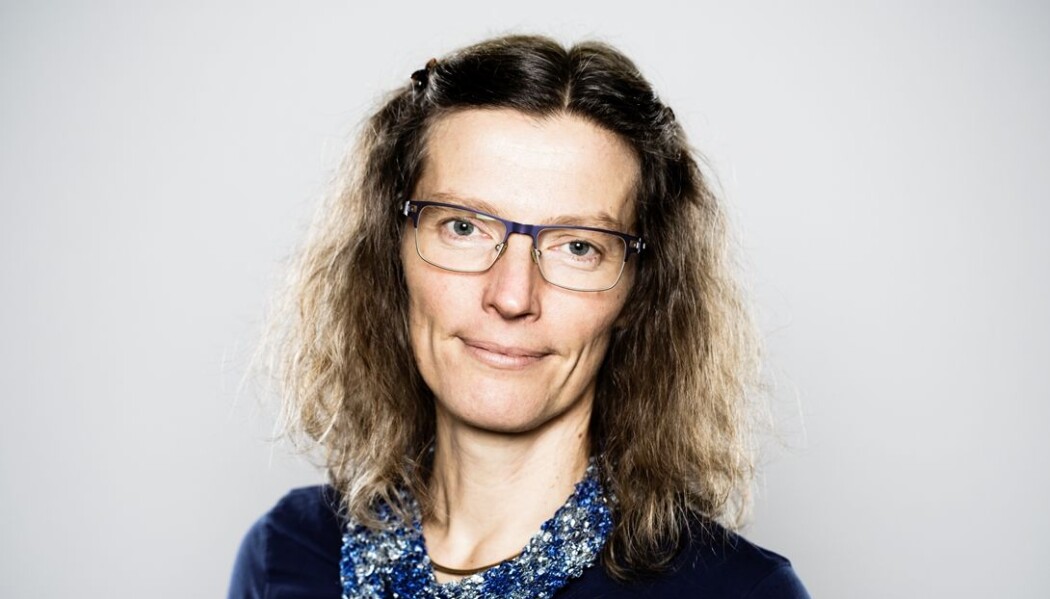 Professor Anne Sverdrup-Thygeson mener det er viktig å følge med på insektene våre. (Foto: NMBU) Professor Anne Sverdrup-Thygeson mener det er viktig å følge med på insektene våre. (Foto: NMBU)