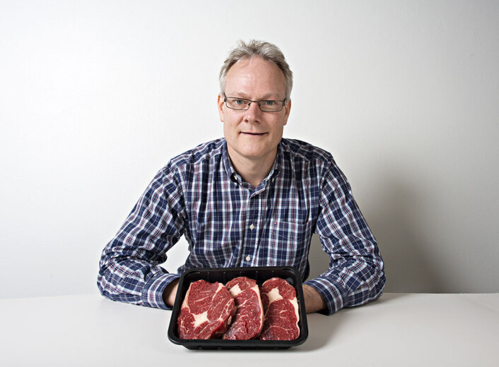 Det er mer vitamin K2 i bankekjøttet enn det er i indrefileten, forteller forskeren Rune Rødbotten. (Foto: Nofima) Det er mer vitamin K2 i bankekjøttet enn det er i indrefileten, forteller forskeren Rune Rødbotten. (Foto: Nofima)