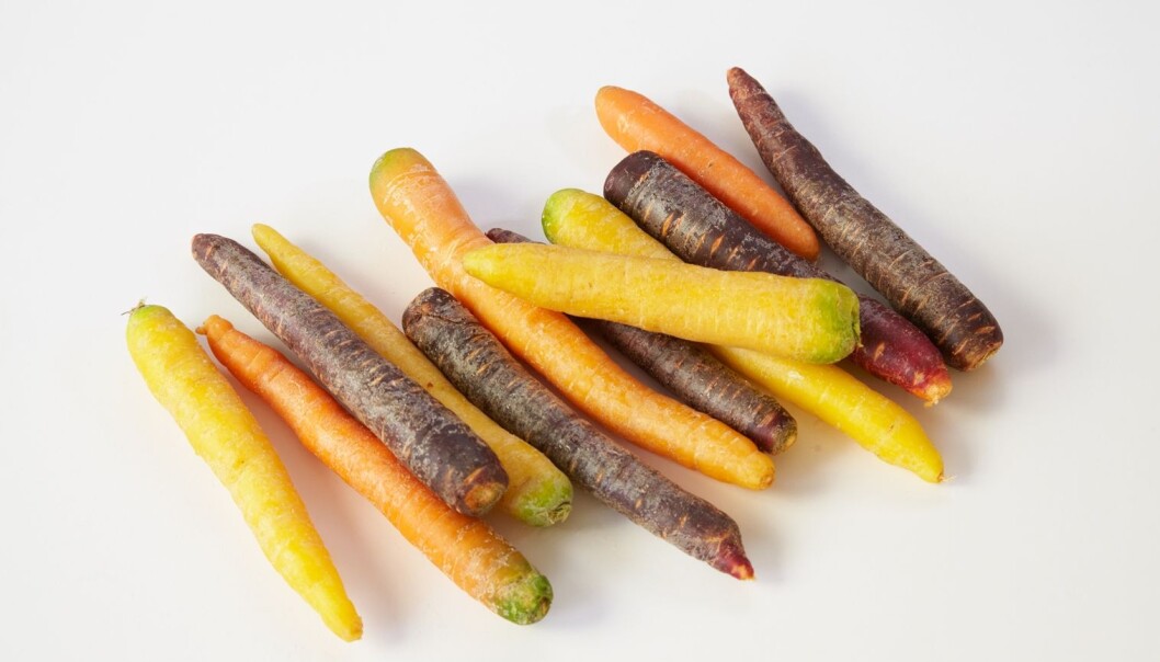 Gulrøttene finnes i flere farger og varianter enn noen gang tidligere. (Foto: Synnøve Dreyer, Opplysningskontoret for frukt og grønnsaker) Gulrøttene finnes i flere farger og varianter enn noen gang tidligere. (Foto: Synnøve Dreyer, Opplysningskontoret for frukt og grønnsaker)