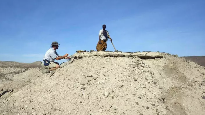 En amerikansk paleoantropolog og en etiopisk medhjelper på funnstedet i Ledi-Geraru-området i Afar-provinsen i Etiopia.  Foto: J. Ramon Arrowsmith