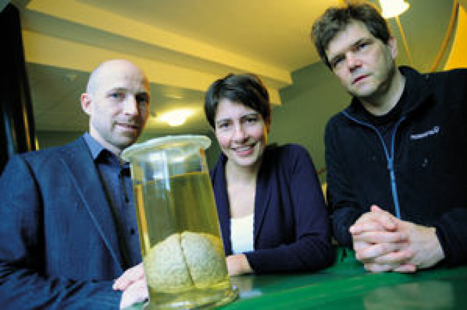 For å skjønne hvordan det svære nettverket med milliarder av nerveceller i hjernen fungerer, må Anders Malthe-Sørenssen (til venstre), Marianne Fyhn og Gaute Einevoll ty til enorme beregninger på universitetets tungregnemaskin.  (Foto: Ola Sæther)