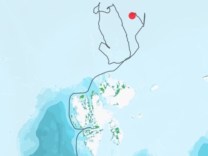 Lance's posisjon så langt under toktet. Ikke noen rettlinjet bevegelse i sjøisen der oppe i Polhavet, nei. (Bilde: Norsk Polarinstitutt) Lance's posisjon så langt under toktet. Ikke noen rettlinjet bevegelse i sjøisen der oppe i Polhavet, nei. (Bilde: Norsk Polarinstitutt)