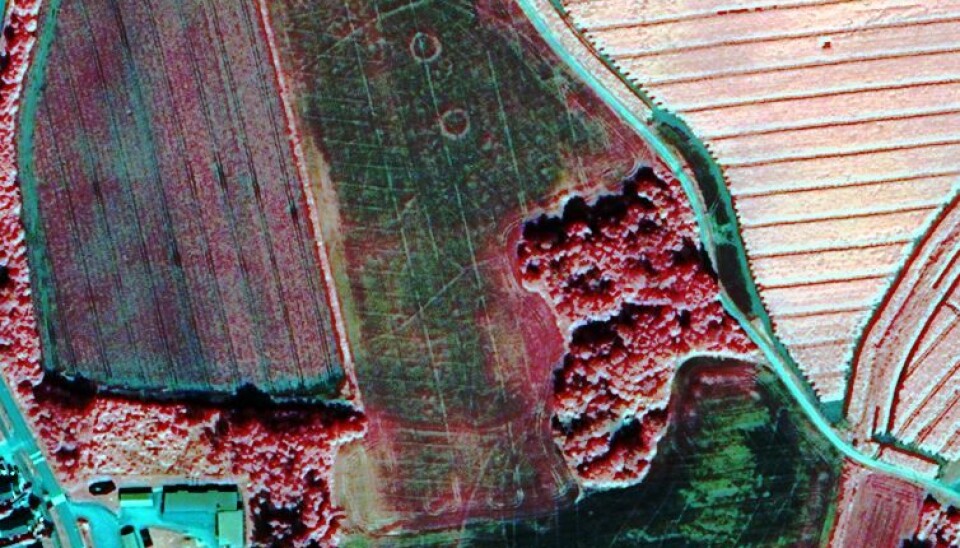 Satellittopptak med to gravhauger i form av sirkler i midten av bildet på et jorde ved Tjøllingvollen syd i Vestfold. (Foto: Digital Globe Norsk Regnesentral)