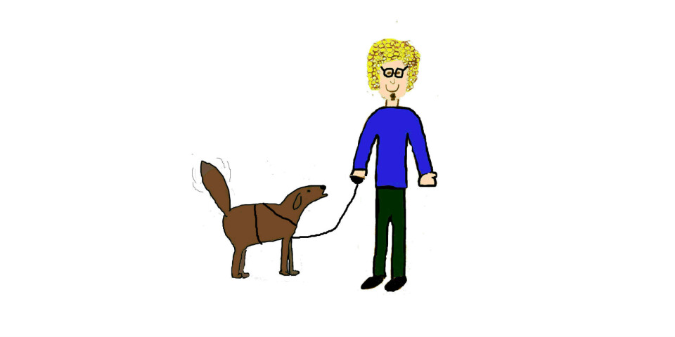 Hundetrening – en intro