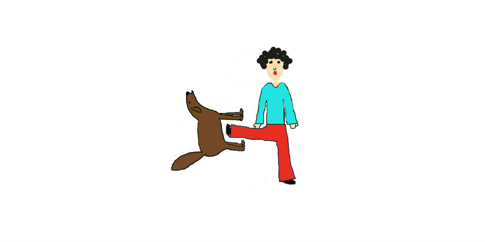 Hundetrening – en intro