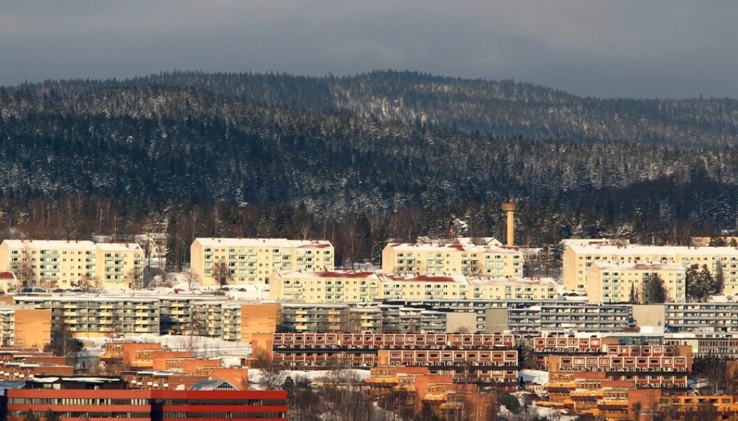 Godt å vokse opp i Grorudddalen i Oslo