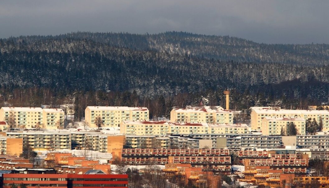 De som flytter skole i Grorudddalen, flytter ikke langt. Det er altså ikke en flukt fra et farget øst til et hvitt vest det er snakk om. De fleste flytter til naboskoler som har noe færre innvandrere, men fortsatt høy innvandrerandel. (Foto: Håkon Mosvold Larsen, NTB scanpix) De som flytter skole i Grorudddalen, flytter ikke langt. Det er altså ikke en flukt fra et farget øst til et hvitt vest det er snakk om. De fleste flytter til naboskoler som har noe færre innvandrere, men fortsatt høy innvandrerandel. (Foto: Håkon Mosvold Larsen, NTB scanpix)