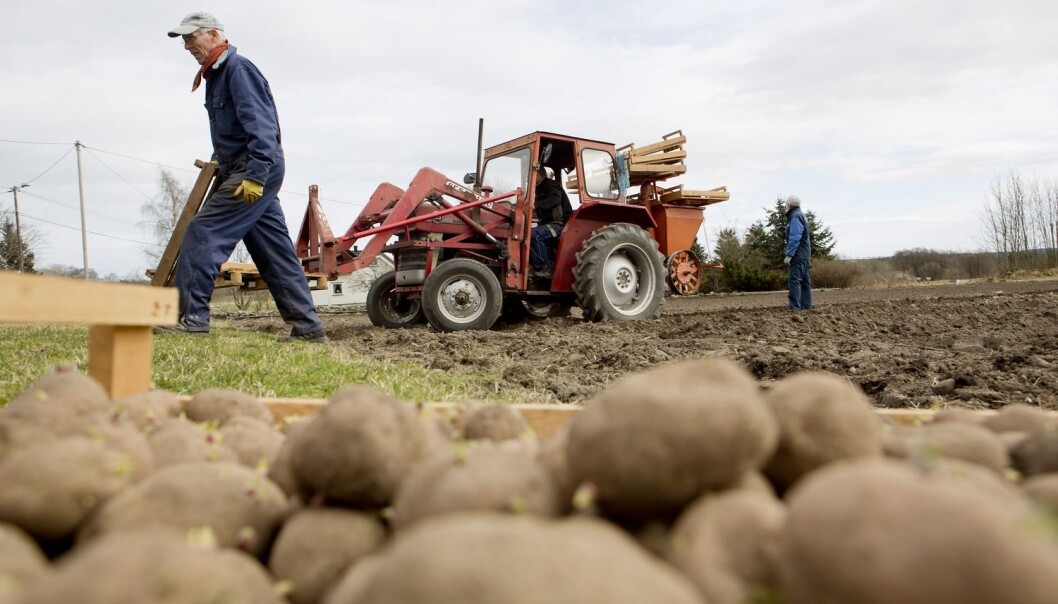 I Noreg er bonden, vegleiaren, industrien og forskarane opne om kor potetål-smitta finnast. I andre land vil dei ikkje diskutere med kvarandre, og det eksisterer ikkje kart som viser tydeleg kva som er smitta. (Foto: Tore Meek, Scanpix) I Noreg er bonden, vegleiaren, industrien og forskarane opne om kor potetål-smitta finnast. I andre land vil dei ikkje diskutere med kvarandre, og det eksisterer ikkje kart som viser tydeleg kva som er smitta. (Foto: Tore Meek, Scanpix)