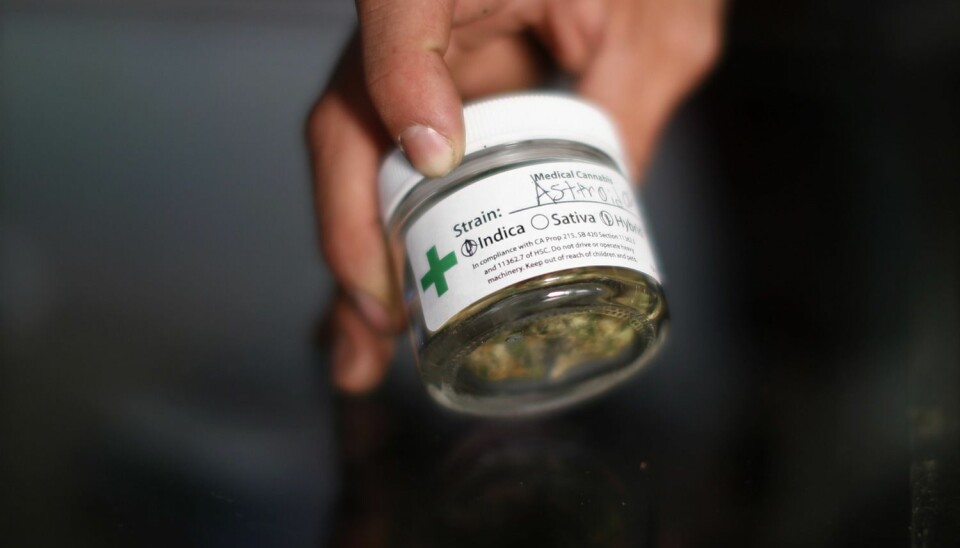 Har du resept på marihuana, kan du kjøpe stoffet lovlig over disk i 23 stater i USA.  (Foto: Lucy Nicholson, Reuters)