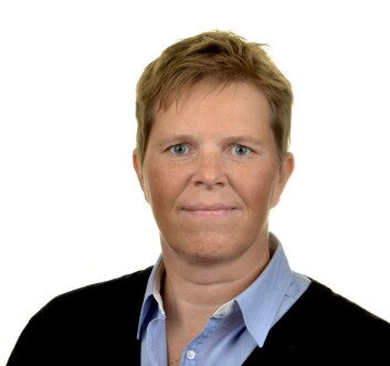 Regjeringen velger land som er fattige, der Norge kan bidra med kompetanse, og der bistanden har effekt, ifølge politisk rådgiver Ingrid Skjøtskift i Utenriksdepartementet. (Foto: Utenriksdepartementet/Sjøwall) Regjeringen velger land som er fattige, der Norge kan bidra med kompetanse, og der bistanden har effekt, ifølge politisk rådgiver Ingrid Skjøtskift i Utenriksdepartementet. (Foto: Utenriksdepartementet/Sjøwall)