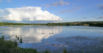 Åkersvika naturreservat er et naturreservat i Åkersvika mellom Hamar og Stange kommuner, Hedmark. (Foto: Wikimedia Commons. Bildet er offentlig eiendom) Åkersvika naturreservat er et naturreservat i Åkersvika mellom Hamar og Stange kommuner, Hedmark. (Foto: Wikimedia Commons. Bildet er offentlig eiendom)