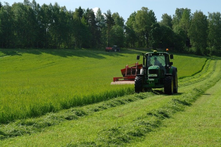 Tidleg slått gjev betre kvalitet på fôret. Sein slått gjev meir fôr, men av dårlegare kvalitet. (Foto: Bioforsk) Tidleg slått gjev betre kvalitet på fôret. Sein slått gjev meir fôr, men av dårlegare kvalitet. (Foto: Bioforsk)