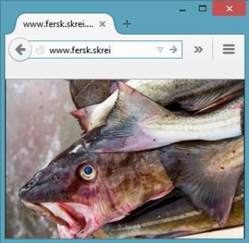 Tenk deg: www.fersk.skrei. (Montasje: Eivind Torgersen. Foto: Bjørn Jørgensen, Samfoto) Tenk deg: www.fersk.skrei. (Montasje: Eivind Torgersen. Foto: Bjørn Jørgensen, Samfoto)