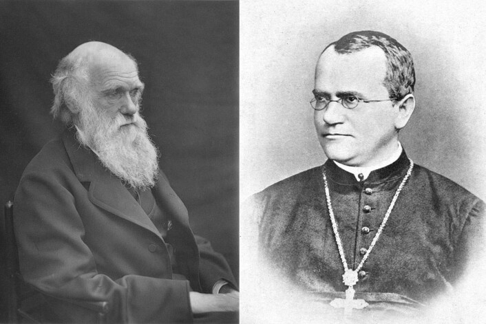 Darwin fotografert i 1878 av Leonard fra Woodall. Georg Medel av William Bateson. (Foto: Wikimedia Commons) Darwin fotografert i 1878 av Leonard fra Woodall. Georg Medel av William Bateson. (Foto: Wikimedia Commons)