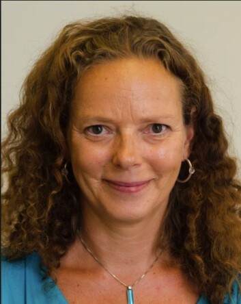 Mette I. Snertingdal evaluerer en ny modell for å få et fast tak over hodet på bostedsløse i norske kommuner. (Foto: Fafo) Mette I. Snertingdal evaluerer en ny modell for å få et fast tak over hodet på bostedsløse i norske kommuner. (Foto: Fafo)