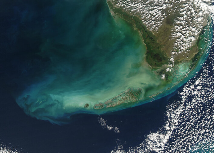 Florida Keys sett fra verdensrommet. (Foto: NASA) Florida Keys sett fra verdensrommet. (Foto: NASA)