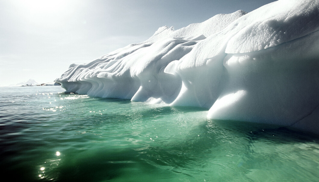 Oppvarmingen av Arktis kan innebære at fisk fra Atlanterhavet og Stillehavet vil blande seg med hverandre. Det kan få konsekvenser for både fiskere og lokale økosystemer. (Foto: Colourbox) Oppvarmingen av Arktis kan innebære at fisk fra Atlanterhavet og Stillehavet vil blande seg med hverandre. Det kan få konsekvenser for både fiskere og lokale økosystemer. (Foto: Colourbox)