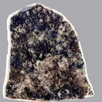 I de mørke flekkene på denne steinen hviler 1,8 milliarder år gamle bakterier. (Foto: UCLA Center for the Study of Evolution and the Origin of Life) I de mørke flekkene på denne steinen hviler 1,8 milliarder år gamle bakterier. (Foto: UCLA Center for the Study of Evolution and the Origin of Life)