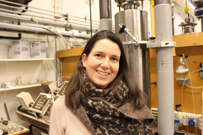 Elin Skurtveit i NGI-laboratoriet, der hun har gjort forsøk med bruddprosesser for sandkorn under ulike reservoarforhold. (Foto: Dag Inge Danielsen, NGI) Elin Skurtveit i NGI-laboratoriet, der hun har gjort forsøk med bruddprosesser for sandkorn under ulike reservoarforhold. (Foto: Dag Inge Danielsen, NGI)