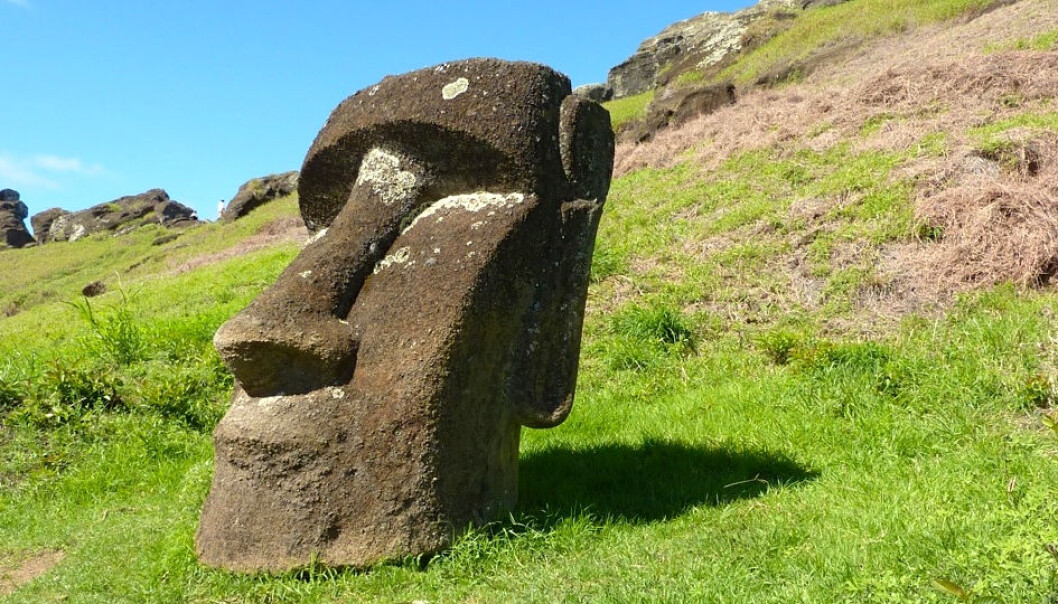 Folk på Påskeøya laget disse enorme statuene mellom år 1250 og 1500. (Foto: UCSB) Folk på Påskeøya laget disse enorme statuene mellom år 1250 og 1500. (Foto: UCSB)