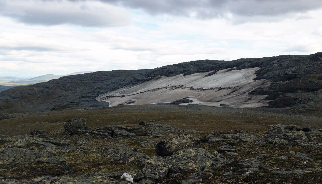 Kringsollfonna fotografert i juli 2014. Fonna er 400 meter bred og 100 meter lang. Fra dette bilde ble tatt og fram til oktober, smeltet fonna ned med over fire meter. Det mørke båndet som ligger tvers over fonna er gammelt organisk materiale som smelter fram og inneholder både makrofossiler og artefakter. (Foto: Geir Vatne, NTNU) Kringsollfonna fotografert i juli 2014. Fonna er 400 meter bred og 100 meter lang. Fra dette bilde ble tatt og fram til oktober, smeltet fonna ned med over fire meter. Det mørke båndet som ligger tvers over fonna er gammelt organisk materiale som smelter fram og inneholder både makrofossiler og artefakter. (Foto: Geir Vatne, NTNU)