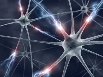 Kommunikasjonen mellom nerveceller er særlig forstyrret ved schizofreni.  (Foto: Colourbox)