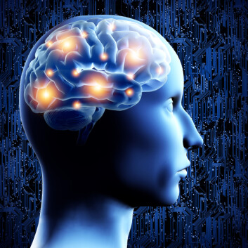 Feil i biologiske prosesser er felles for de alvorligste psykiske sykdommene. (Foto: Colourbox) Feil i biologiske prosesser er felles for de alvorligste psykiske sykdommene. (Foto: Colourbox)